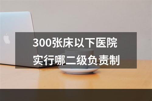 300张床以下医院实行哪二级负责制