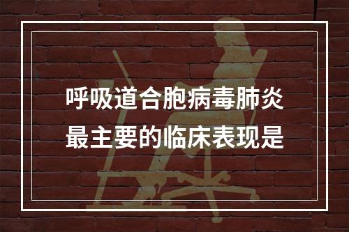 呼吸道合胞病毒肺炎最主要的临床表现是