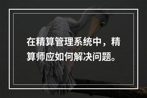 在精算管理系统中，精算师应如何解决问题。