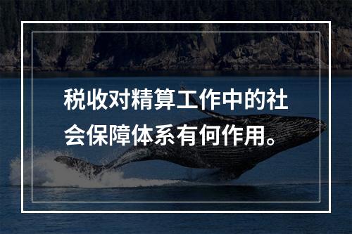 税收对精算工作中的社会保障体系有何作用。