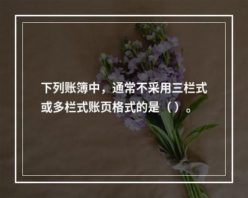 下列账簿中，通常不采用三栏式或多栏式账页格式的是（ ）。