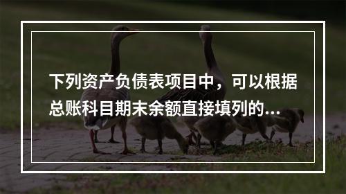 下列资产负债表项目中，可以根据总账科目期末余额直接填列的是（