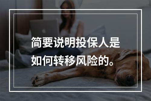 简要说明投保人是如何转移风险的。