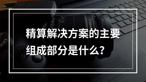 精算解决方案的主要组成部分是什么？