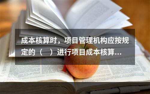 成本核算时，项目管理机构应按规定的（　）进行项目成本核算。