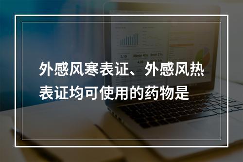 外感风寒表证、外感风热表证均可使用的药物是