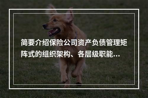 简要介绍保险公司资产负债管理矩阵式的组织架构、各层级职能及这