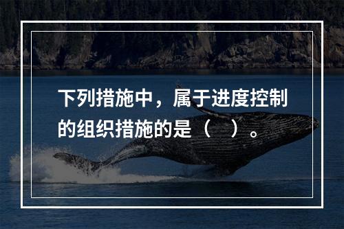 下列措施中，属于进度控制的组织措施的是（　）。