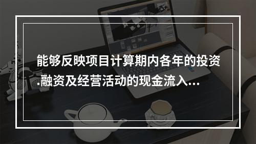 能够反映项目计算期内各年的投资.融资及经营活动的现金流入和流