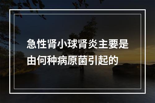 急性肾小球肾炎主要是由何种病原菌引起的