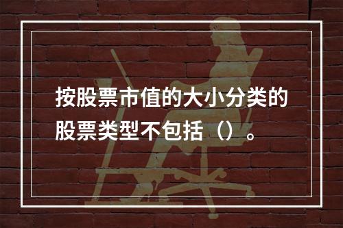 按股票市值的大小分类的股票类型不包括（）。