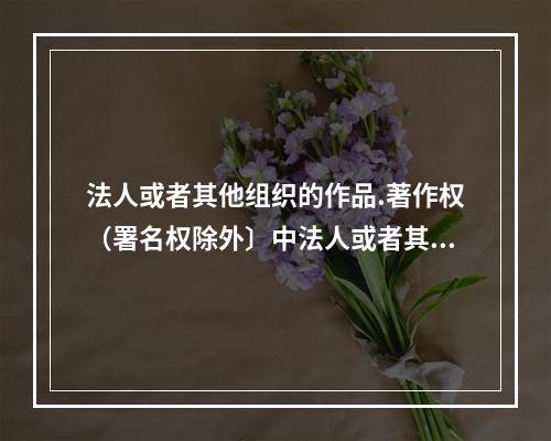 法人或者其他组织的作品.著作权（署名权除外〕中法人或者其他组