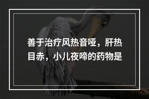 善于治疗风热音哑，肝热目赤，小儿夜啼的药物是