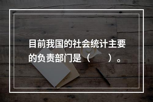 目前我国的社会统计主要的负责部门是（　　）。