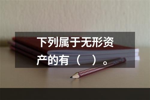 下列属于无形资产的有（　）。