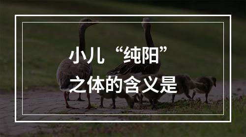 小儿“纯阳”之体的含义是