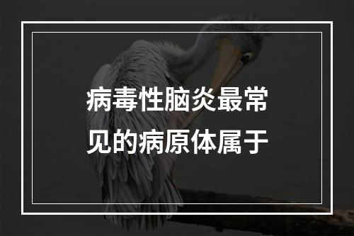 病毒性脑炎最常见的病原体属于