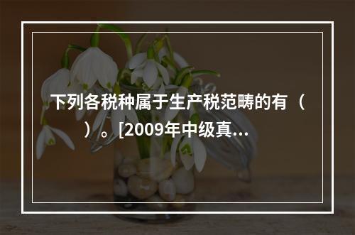 下列各税种属于生产税范畴的有（　　）。[2009年中级真题]