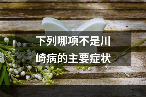 下列哪项不是川崎病的主要症状