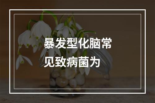 暴发型化脑常见致病菌为