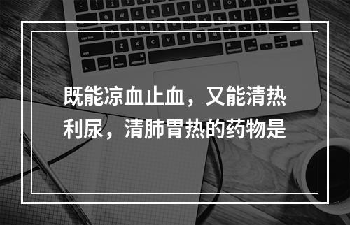 既能凉血止血，又能清热利尿，清肺胃热的药物是