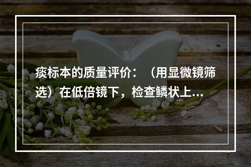 痰标本的质量评价：（用显微镜筛选）在低倍镜下，检查鳞状上皮细