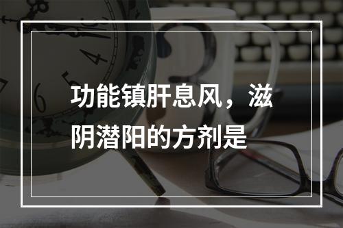 功能镇肝息风，滋阴潜阳的方剂是