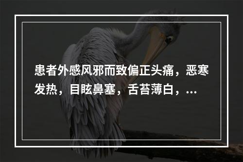 患者外感风邪而致偏正头痛，恶寒发热，目眩鼻塞，舌苔薄白，脉浮