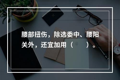 腰部扭伤，除选委中、腰阳关外，还宜加用（　　）。