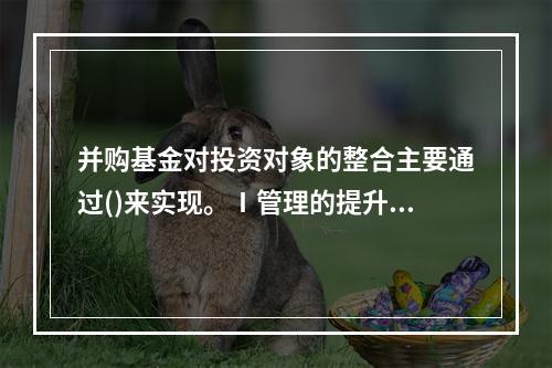 并购基金对投资对象的整合主要通过()来实现。Ⅰ管理的提升Ⅱ产