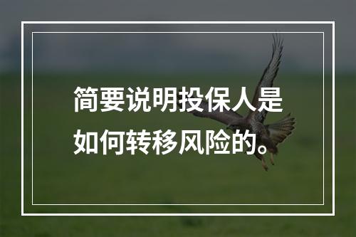 简要说明投保人是如何转移风险的。