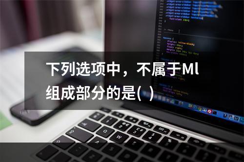 下列选项中，不属于Ml组成部分的是(  )