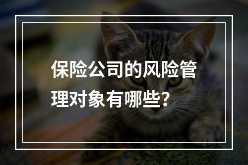 保险公司的风险管理对象有哪些？