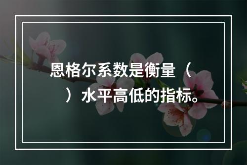 恩格尔系数是衡量（　　）水平高低的指标。