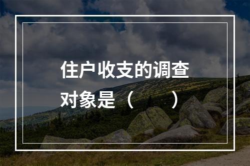 住户收支的调查对象是（　　）