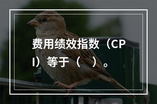 费用绩效指数（CPI）等于（　）。