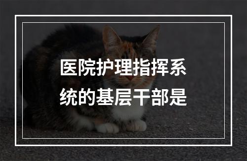 医院护理指挥系统的基层干部是