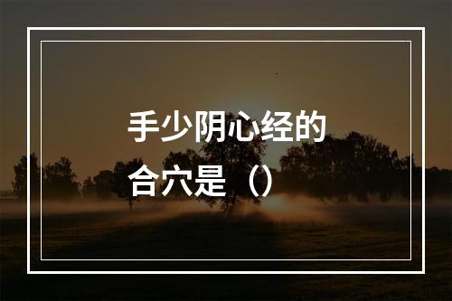 手少阴心经的合穴是（）