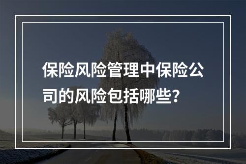 保险风险管理中保险公司的风险包括哪些？