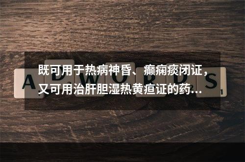 既可用于热病神昏、癫痫痰闭证，又可用治肝胆湿热黄疸证的药物是