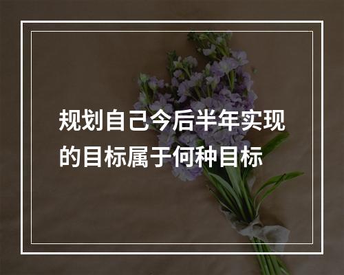 规划自己今后半年实现的目标属于何种目标