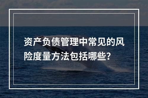 资产负债管理中常见的风险度量方法包括哪些？