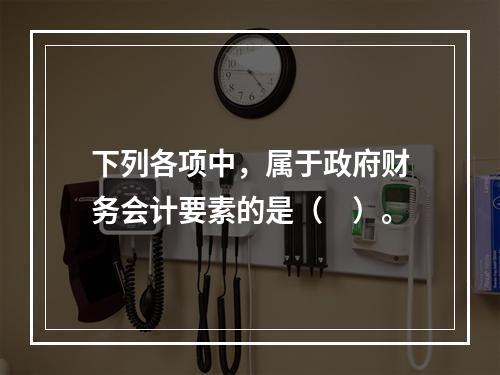 下列各项中，属于政府财务会计要素的是（　）。