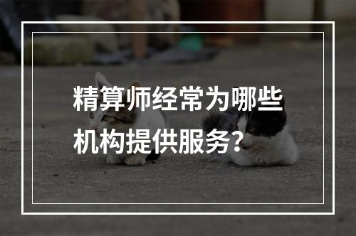 精算师经常为哪些机构提供服务？