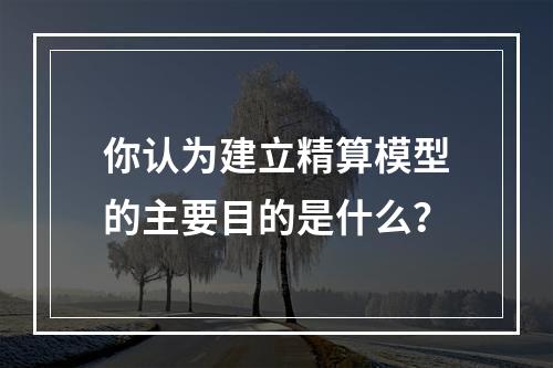 你认为建立精算模型的主要目的是什么？