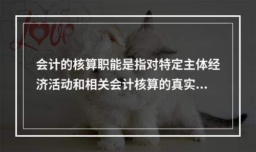 会计的核算职能是指对特定主体经济活动和相关会计核算的真实性、