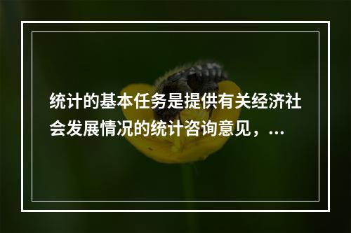 统计的基本任务是提供有关经济社会发展情况的统计咨询意见，实行