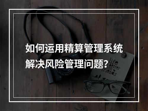 如何运用精算管理系统解决风险管理问题？