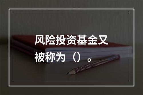 风险投资基金又被称为（）。