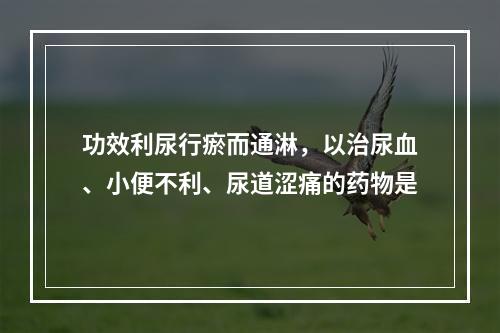 功效利尿行瘀而通淋，以治尿血、小便不利、尿道涩痛的药物是